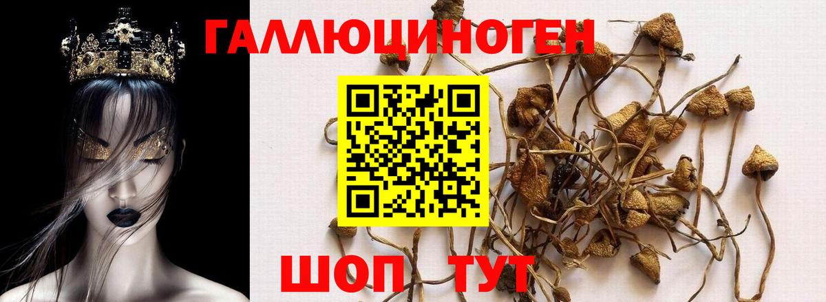 Псилоцибиновые грибы мухоморы Рассказово