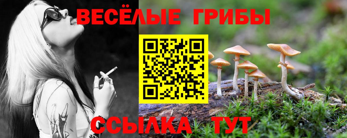 Псилоцибиновые грибы мицелий  Вход с VPN  Рассказово 
